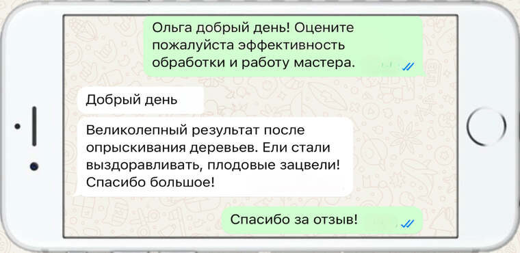 служба по борьбе с борщевиком - фото №3