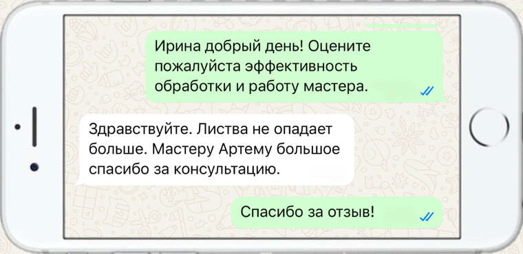 служба по борьбе с борщевиком - фото №22