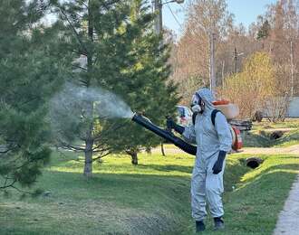 омолаживающая, формирующая и санитарная обрезка деревьев - фото №18